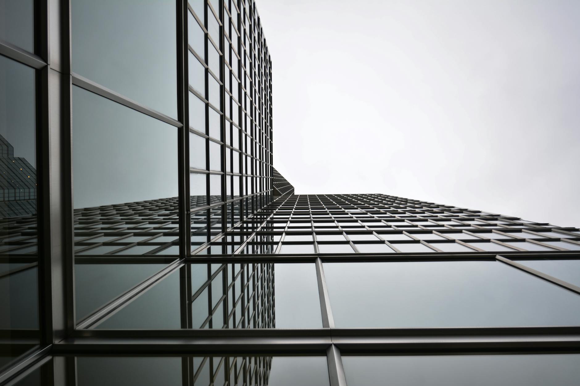 Understanding Cryptocurrency Assets: Bitcoin, Altcoins, and More